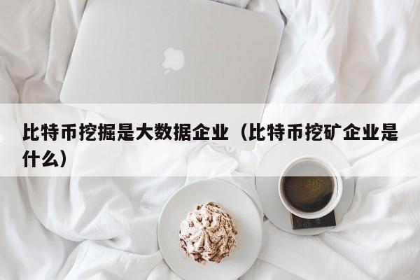 比特币挖掘是大数据企业（比特币挖矿企业是什么）