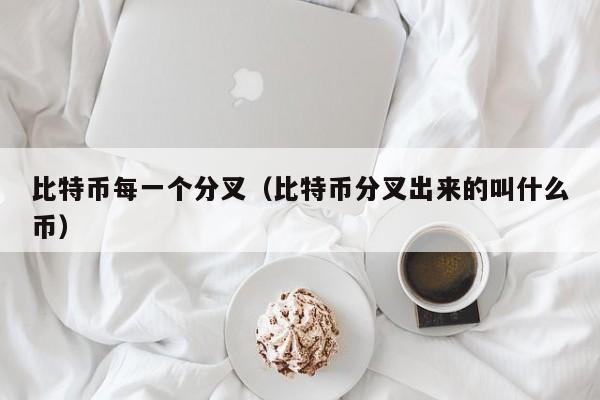 比特币每一个分叉（比特币分叉出来的叫什么币）