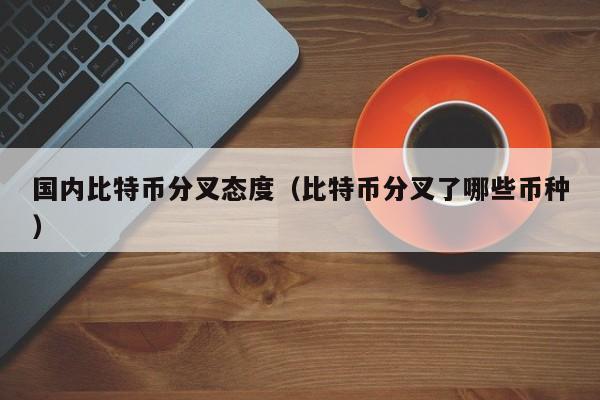 国内比特币分叉态度(比特币分叉了哪些币种)