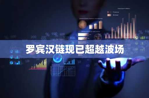 罗宾汉链现已超越波场