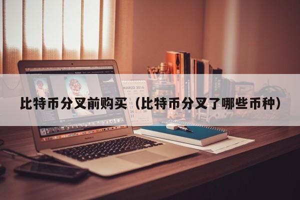 比特币分叉前购买（比特币分叉了哪些币种）
