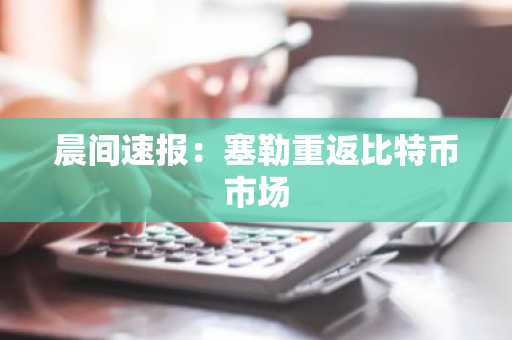 晨间速报：塞勒重返比特币市场