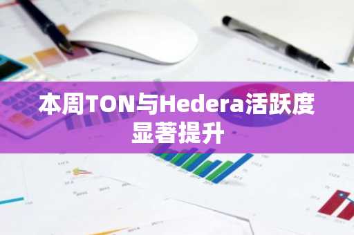 本周TON与Hedera活跃度显著提升