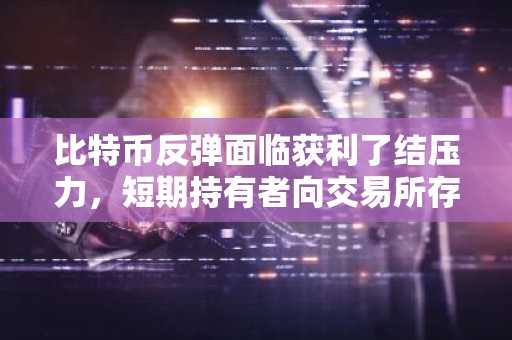 比特币反弹面临获利了结压力,短期持有者向交易所存入46.7万枚BTC