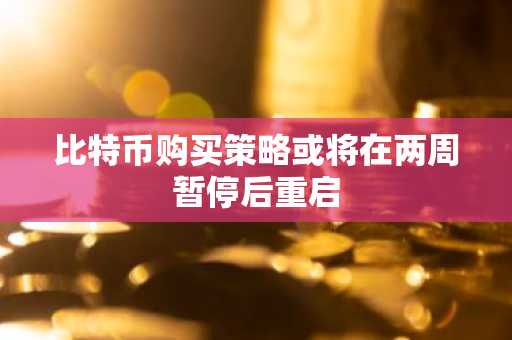 比特币购买策略或将在两周暂停后重启