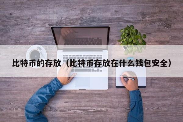 比特币的存放（比特币存放在什么钱包安全）