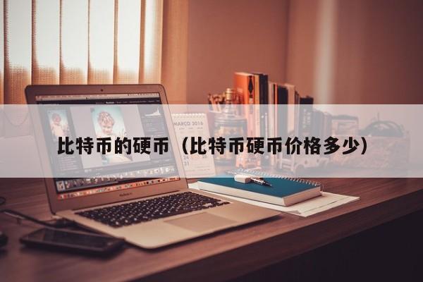 比特币的硬币（比特币硬币价格多少）