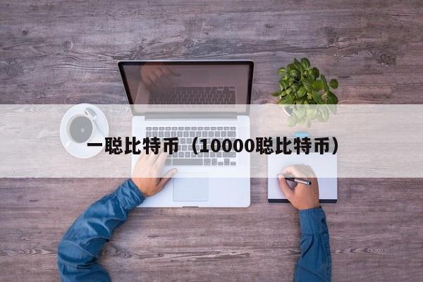 一聪比特币（10000聪比特币）