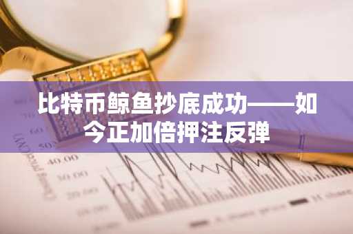 比特币鲸鱼抄底成功——如今正加倍押注反弹