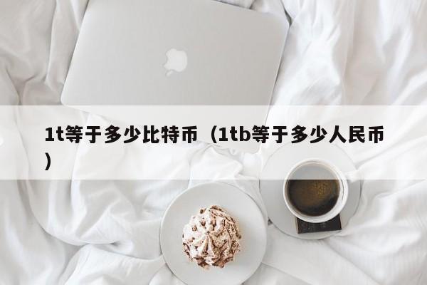 1t等于多少比特币(1tb等于多少人民币)