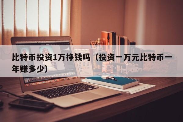 比特币投资1万挣钱吗（投资一万元比特币一年赚多少）