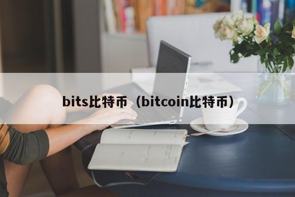 bits比特币（bitcoin比特币）