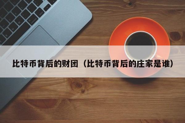 比特币背后的财团(比特币背后的庄家是谁)
