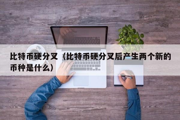 比特币硬分叉（比特币硬分叉后产生两个新的币种是什么）