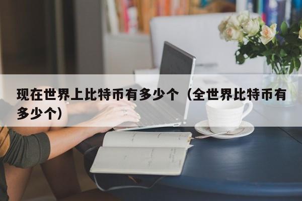 现在世界上比特币有多少个（全世界比特币有多少个）
