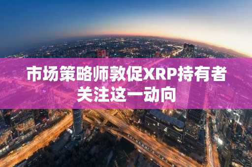 市场策略师敦促XRP持有者关注这一动向