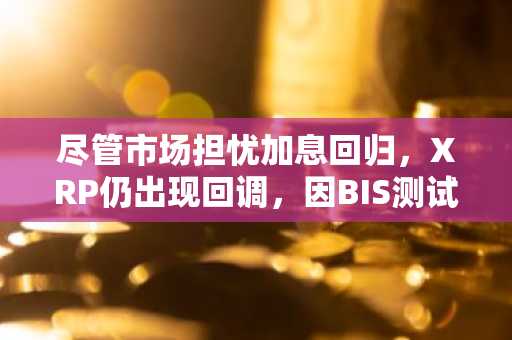 尽管市场担忧加息回归,XRP仍出现回调,因BIS测试XRPL