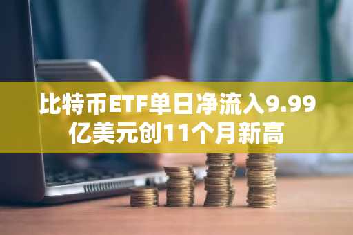 比特币ETF单日净流入9.99亿美元创11个月新高
