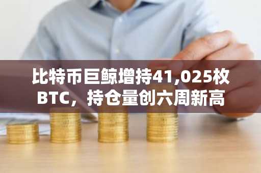 比特币巨鲸增持41,025枚BTC，持仓量创六周新高
