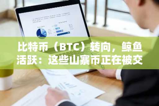 比特币（BTC）转向，鲸鱼活跃：这些山寨币正在被交易