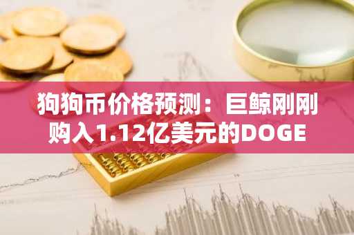 狗狗币价格预测:巨鲸刚刚购入1.12亿美元的DOGE