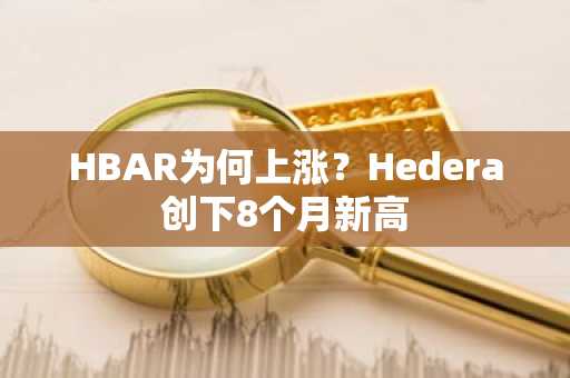 HBAR为何上涨？Hedera创下8个月新高