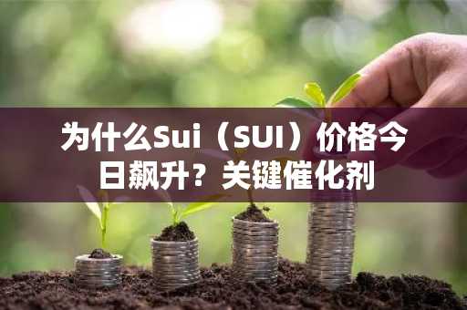 为什么Sui（SUI）价格今日飙升？关键催化剂