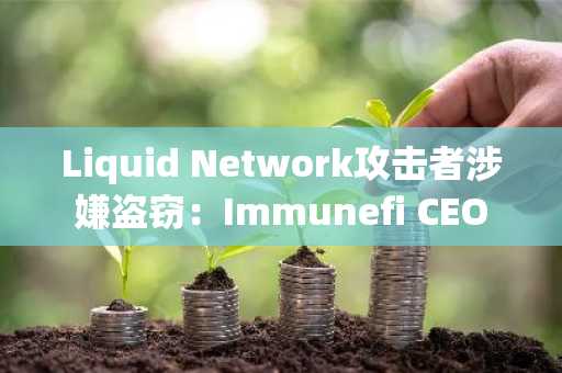 Liquid Network攻击者涉嫌盗窃：Immunefi CEO