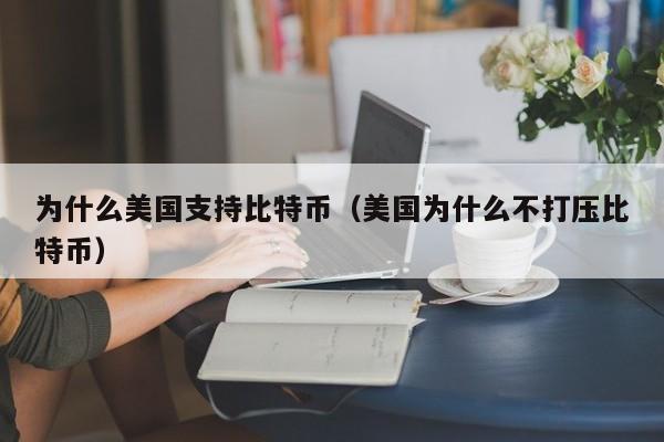 为什么美国支持比特币（美国为什么不打压比特币）