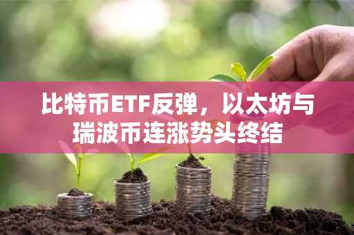 比特币ETF反弹，以太坊与瑞波币连涨势头终结