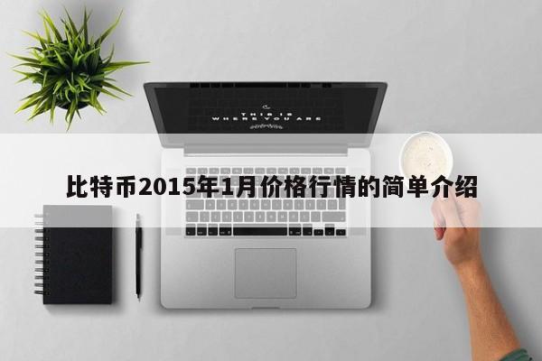比特币2015年1月价格行情的简单介绍