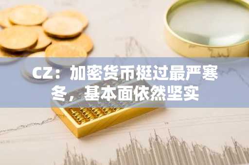 CZ：加密货币挺过最严寒冬，基本面依然坚实