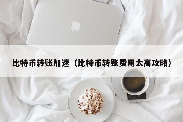 比特币转账加速（比特币转账费用太高攻略）