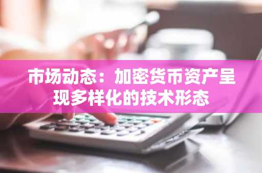 市场动态：加密货币资产呈现多样化的技术形态