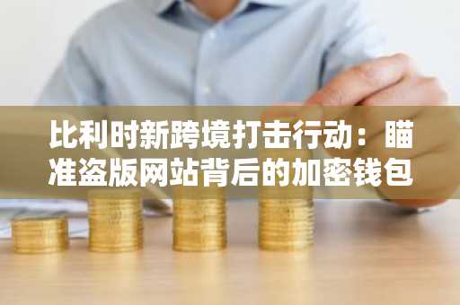 比利时新跨境打击行动：瞄准盗版网站背后的加密钱包