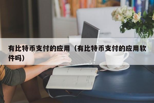 有比特币支付的应用（有比特币支付的应用软件吗）