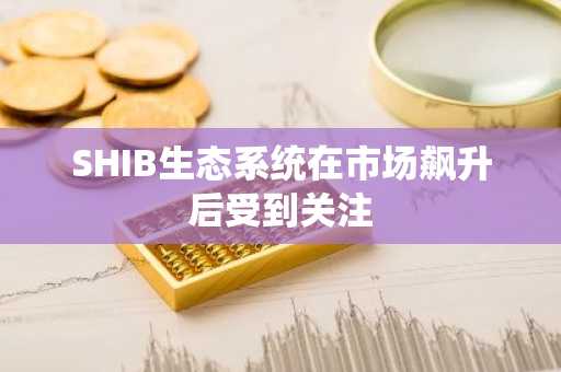 SHIB生态系统在市场飙升后受到关注