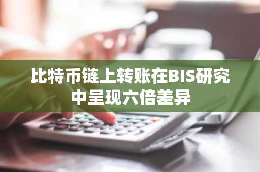 比特币链上转账在BIS研究中呈现六倍差异