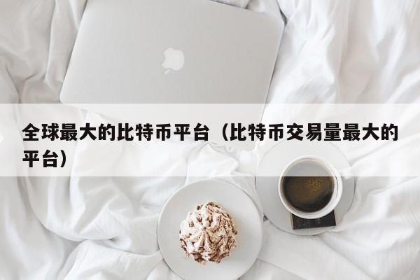 全球最大的比特币平台（比特币交易量最大的平台）