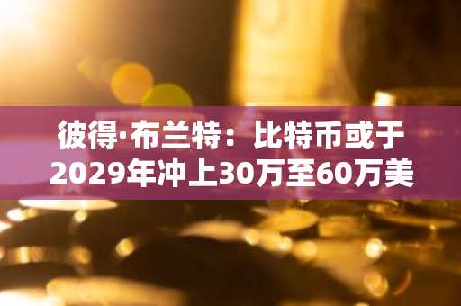 彼得·布兰特：比特币或于2029年冲上30万至60万美元