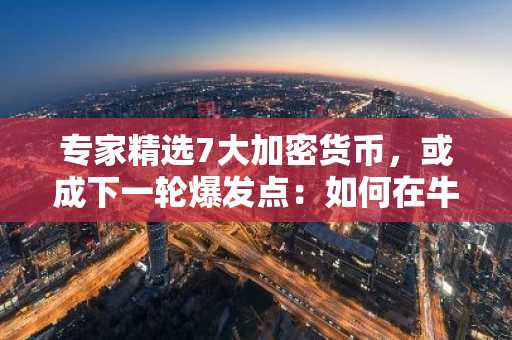专家精选7大加密货币，或成下一轮爆发点：如何在牛市前买入Meme币