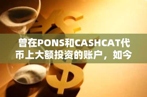 曾在PONS和CASHCAT代币上大额投资的账户,如今又购入这款山寨币!详情揭秘