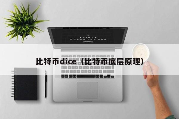 比特币dice（比特币底层原理）