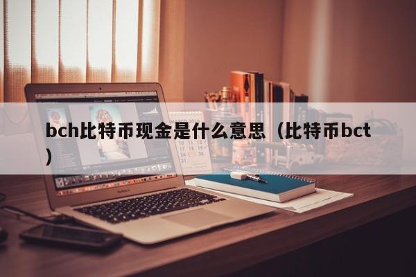 bch比特币现金是什么意思（比特币bct）