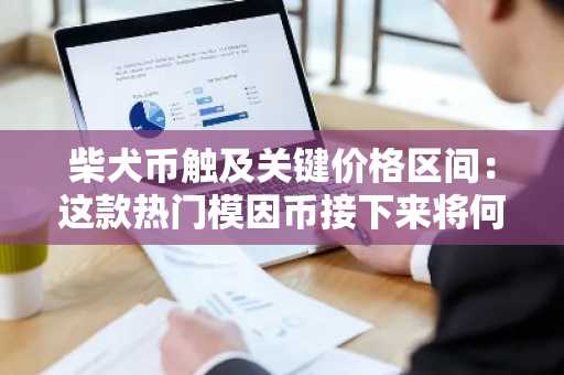 柴犬币触及关键价格区间：这款热门模因币接下来将何去何从？