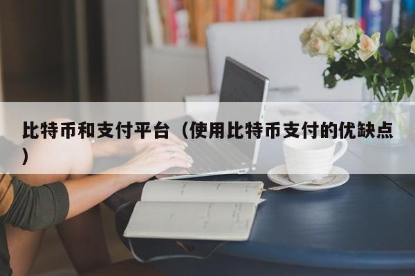 比特币和支付平台(使用比特币支付的优缺点)