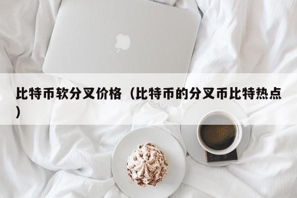 比特币软分叉价格（比特币的分叉币比特热点）