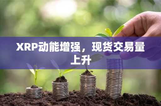 XRP动能增强，现货交易量上升