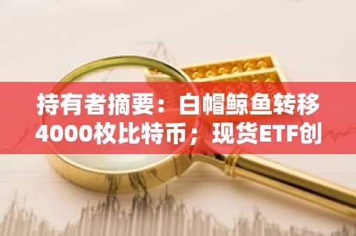 持有者摘要：白帽鲸鱼转移4000枚比特币；现货ETF创下2026年资金流入新高