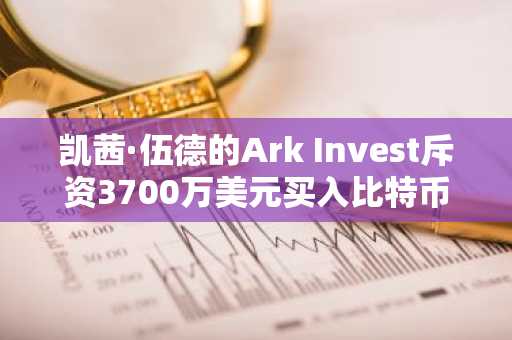 凯茜·伍德的Ark Invest斥资3700万美元买入比特币及支付公司Block